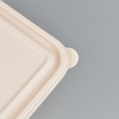 1000ML Corn Starch Packaging Food Takeaway Boxes For Lunch